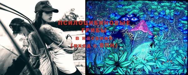 крисы Куйбышев