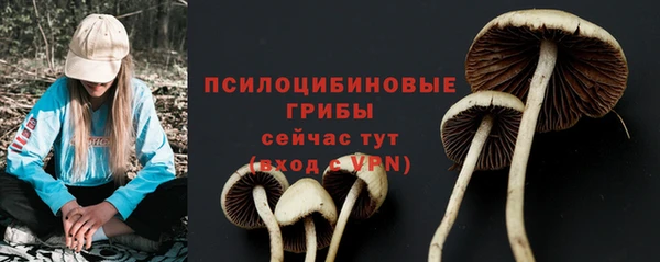 крисы Куйбышев