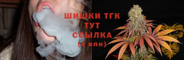 крисы Куйбышев
