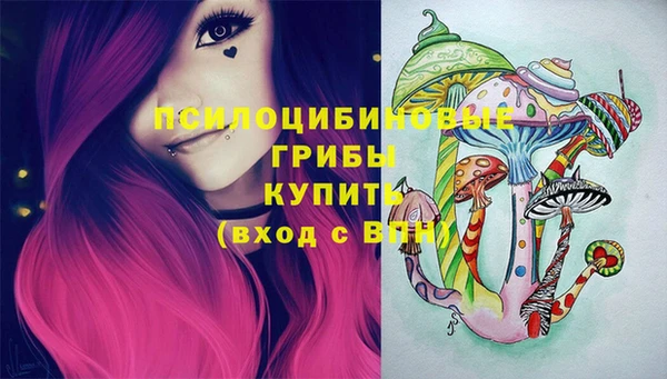 дмт Кукмор