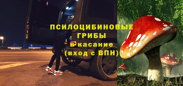 крисы Куйбышев