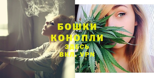 крисы Куйбышев