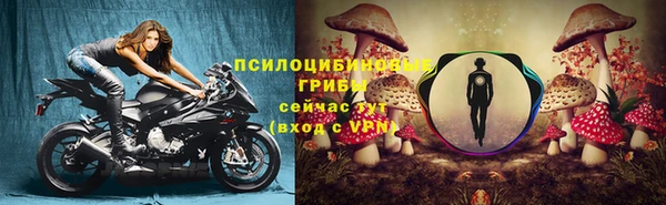 крисы Куйбышев